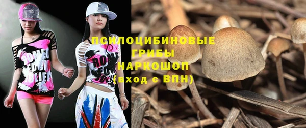 амфетамин Алексин