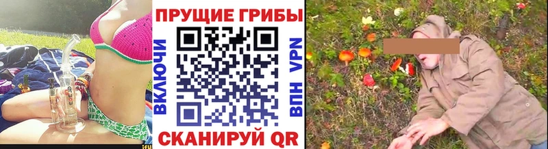 Галлюциногенные грибы Cubensis  что такое   Стародуб 